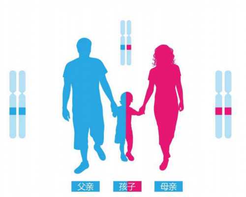 香港验血测胎儿性别mk中心,提前计算好准妈妈的排卵期，对上海助孕试管婴儿人
