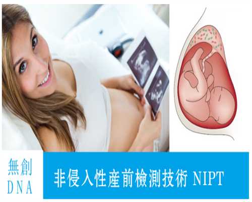 香港pg验血报告单查询,备孕期间女的可以每天喝茶吗