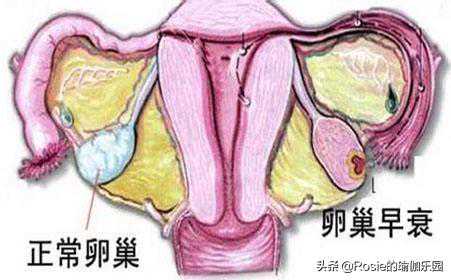 香港验血孕周小了重验,备孕期间熬夜，你还想生宝宝？