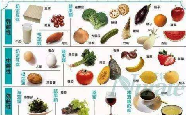 香港验血什么价位,备孕生男孩的碱性食物排名表中有哪些蔬菜？