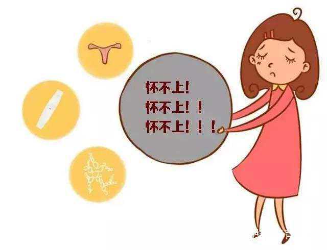 香港邮寄验血风险,备孕期吃什么可以助孕 6款食物包你好孕！