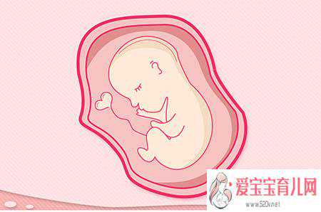 香港验血测男女多钱,试管婴儿发生单卵双胎的机率比自然怀孕高？