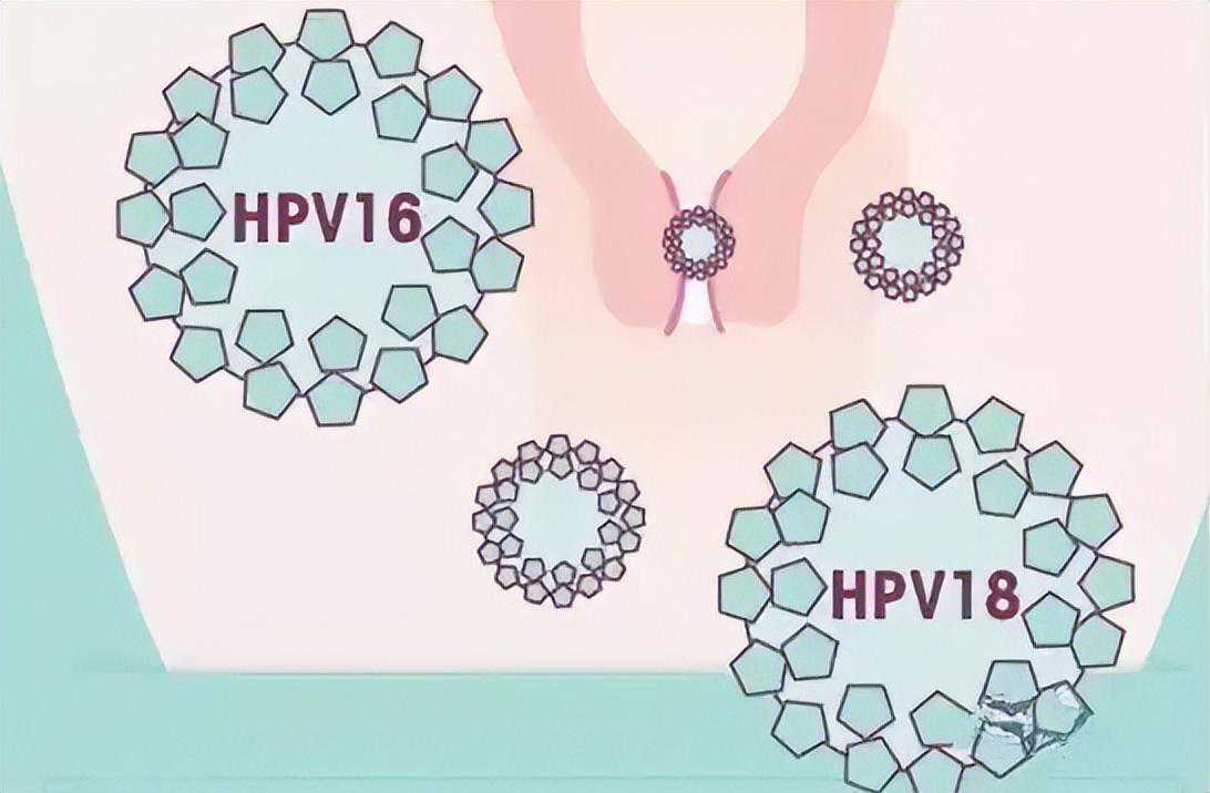 香港可以验血的医院,试管婴儿前为什么要做宫颈癌筛查？HPV阳性可以做试管吗