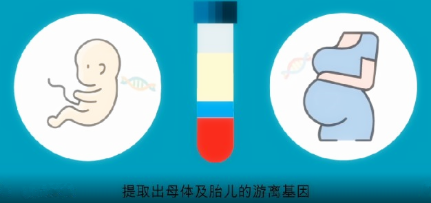 北京医用酒精怎么测胎儿性别鉴定_香港验血是如何进行？