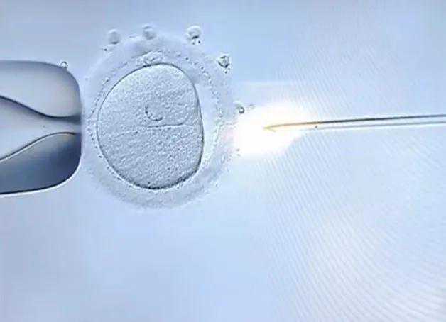 香港验血鉴定性别结果Y生了男孩,中国试管婴儿30年 正确认识辅助生殖是助孕前