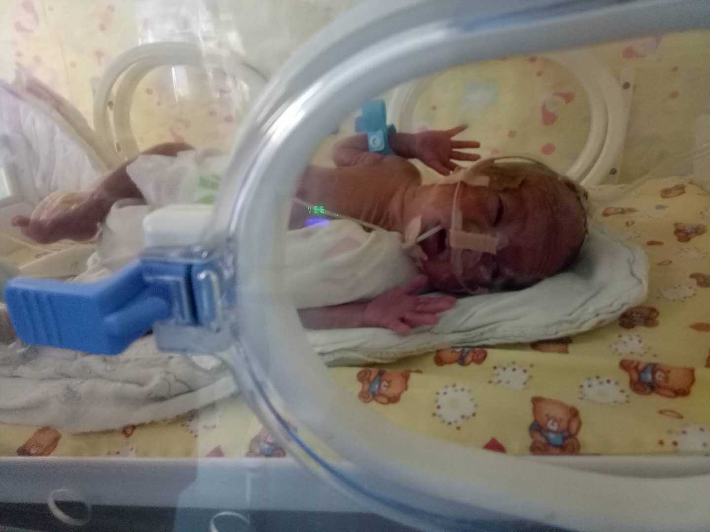 香港6周验血的机构,试管新生双胞胎出生两月一直和病魔抗争，谁来拯救顽强的